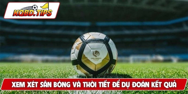 Xem xét sân bóng và thời tiết để dự đoán kết quả